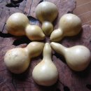 두손농장 이미지