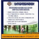 화봉유치원 이미지