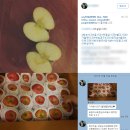 최명식농장 | [ 청송사과 / 청송부사 / 해바람사과 ] 사과후기 &amp; 농장소식