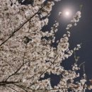 공지천 주차장 이미지