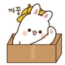 라인댄스 (입문) 이미지