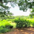 강화토지사랑공인중개사사무소 이미지