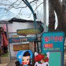 딸기정원 | 3월의 딸기 따기 체험 남양주 딸기 정원 다녀온 후기