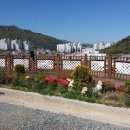 미래숲유치원 이미지