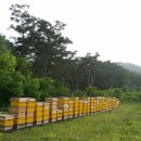 너더리길 이미지