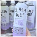 이온워터시스템 | 빙그레 마그네슘워터 후기 무설탕이라 더 가볍게 즐긴 제로음료