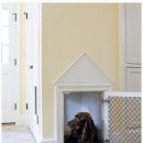 나의 강아지 이미지