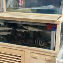 안의청과 이미지