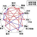 비료의 길항작용 이미지