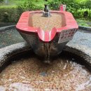 설아농장 | 대만 가족여행 준비 A to Z｜설아가족 대만 패키지 여행 후기