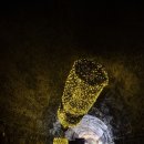 행정사감병기사무소 이미지