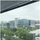 단, 하나살롱