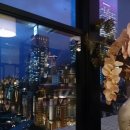 메르샤토 이미지