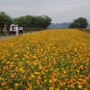 매월저수지1 이미지