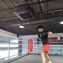 밤짐(BAMGYM) | 부천시장배 복싱대회 출전 후기 [풍동밤짐복싱!]