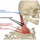 길동한의원 이미지