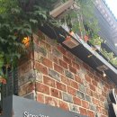 토브하우스커피3 | 부천 중동 능소화 카페 ‘토브하우스커피’ 추천 후기