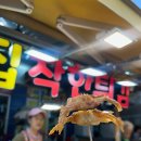 쌍둥이네활어회