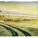 루소호텔 이미지