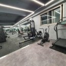 베리 핏 피티 이미지