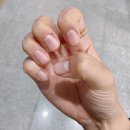 미바네일 | 💆‍♀️💅 :: 미바네일 / 인천 네일 / 찐후기