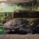 가가동물원 이미지