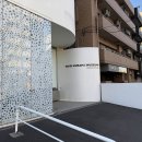 DOT미술관 | [도쿄 미술관 추천] "쇼핑보다 강렬했다" 사진 한 장 못 찍게 하는데 예약 전쟁 터지는 '이곳'의 정체...