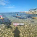 세븐일레븐 속초장사해안점 | 속초 물놀이(스노쿨링)장소 3곳 추천