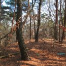 배산농원 이미지