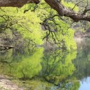 (주)복사꽃사람들 이미지