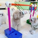 멍플레이 이미지