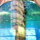 구례 가볼만한 곳 베스트 10 이미지