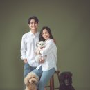 다사랑헤어 이미지