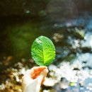 나로디자인 | [휴먼 디자인 리딩 후기] PHS 리딩 후기- "올바른 정보의 힘"