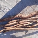 송담1로 이미지