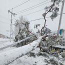 솔안경로당 이미지