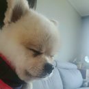 하윤축산