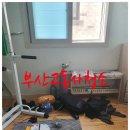 하늘119특수청소