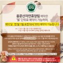 용문산자연휴양림 | 양평 용문산자연휴양림 야영데크 후기