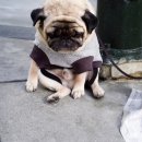 마지마을회관 이미지