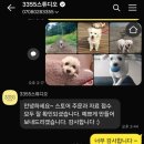 스토어3355 네이버블로그
