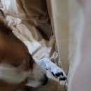 현우카센터 이미지