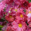 거창적십자병원 이미지