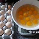 내기농장 이미지