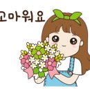 페이퍼로즈창작
