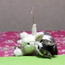 토끼사냥