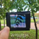 유기 태양광발전소 이미지