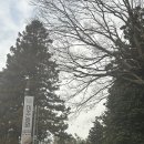 미나리방죽길 (교촌치킨) | 순천 닭구이 맛집 상사 The미주농원120 닭코스요리 제대로 즐긴 후기