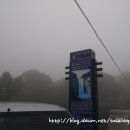 엉또김밥 이미지