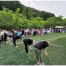 강원도힐링캠핑장 네이버블로그